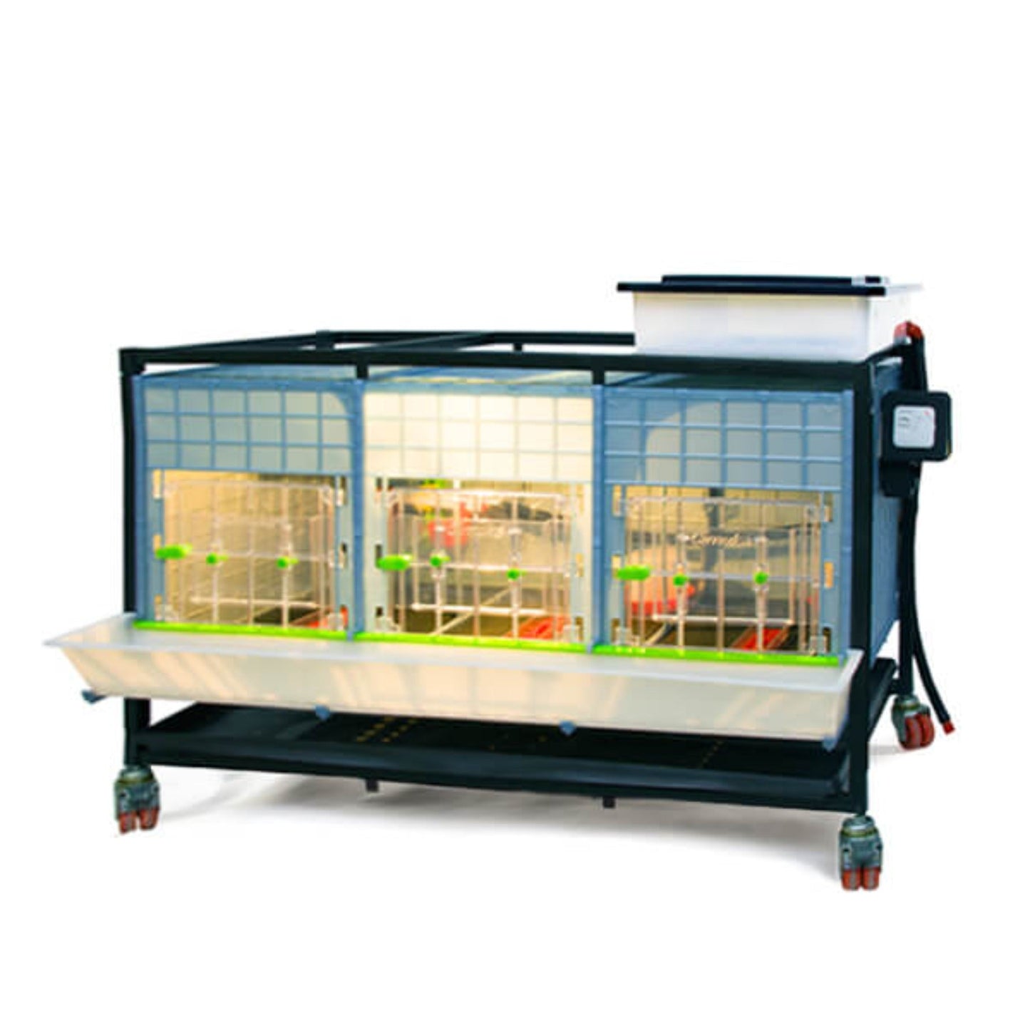 Chick Brooder - 1 Layer H: 15"