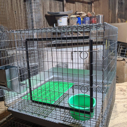 Wire Cage with Baby Saver 18"x16"x24"