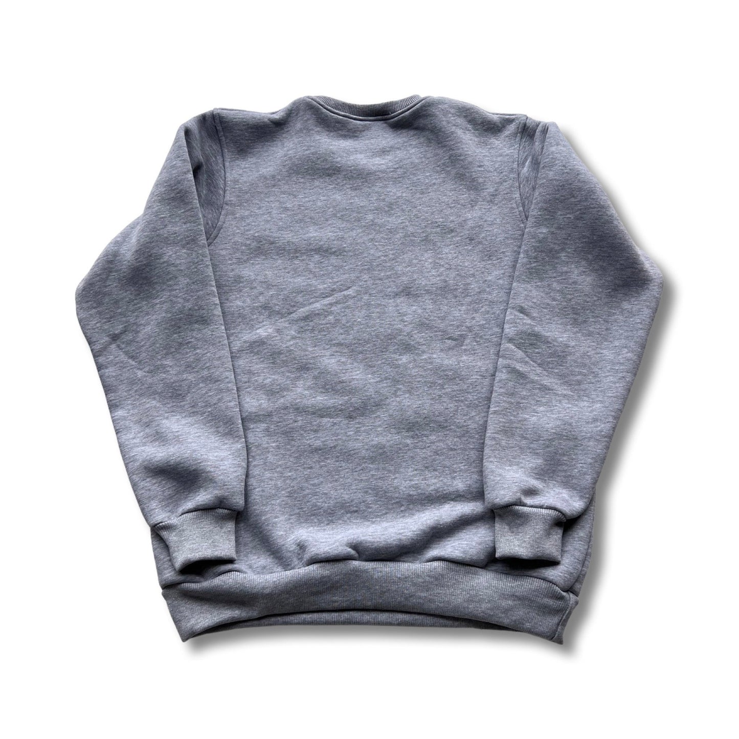 Hatching Time Unisex Crewneck (Gray)